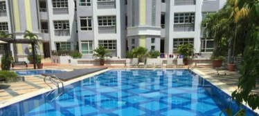 Sandy Palm