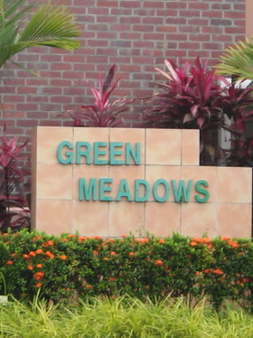 Green Meadows