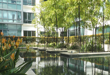 The Sixth Avenue Residences