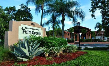 Palm Green