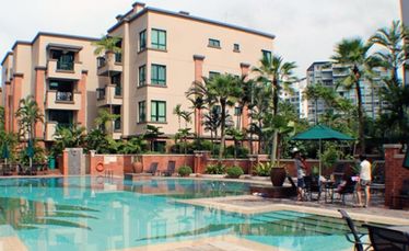 Palm Spring