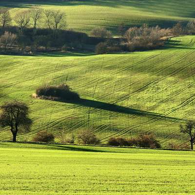 Siglap17359 R023554J 93891308