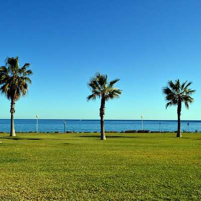 junewongot R018103C 92336668