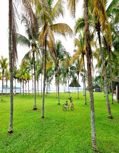 Danielle Loh R050545I 91727247