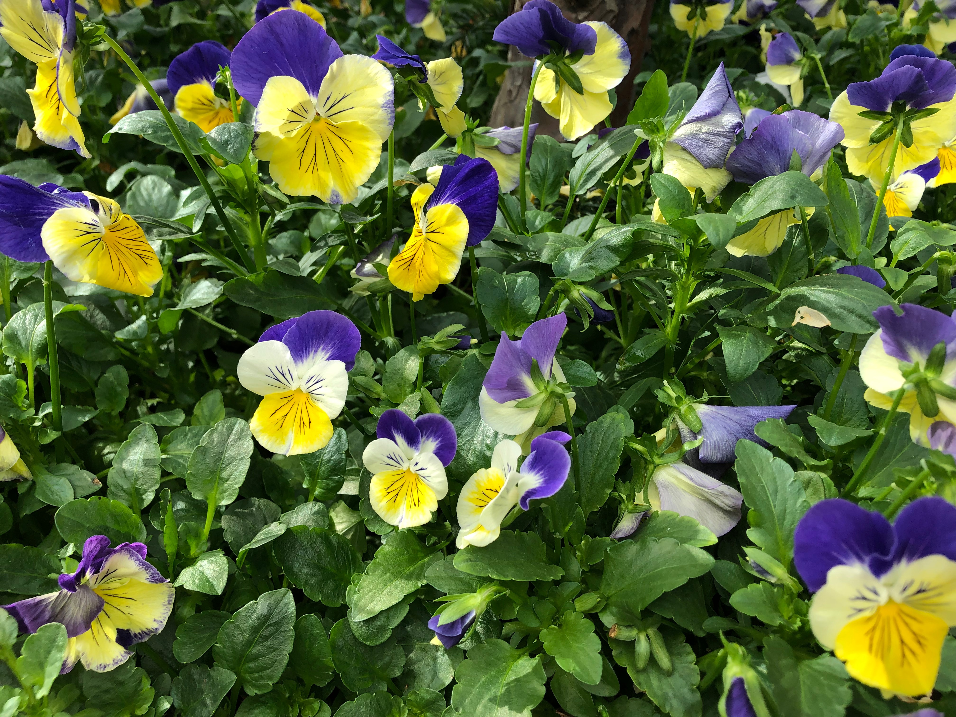 User29v6 R045708Z 82188149