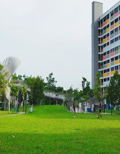 deleted R017402I 88886666