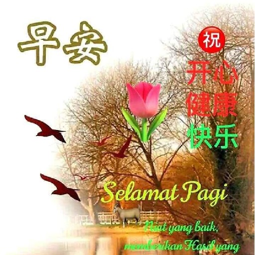 Vincent R006176C 91015768