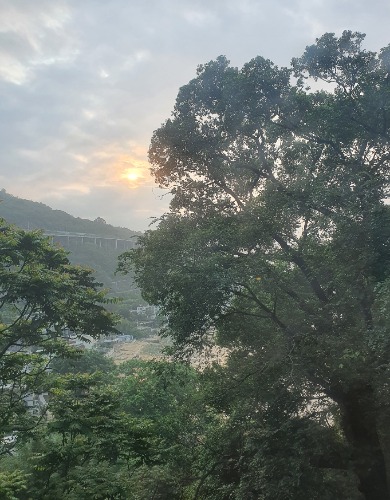 Tina Shum R004284Z 91917806