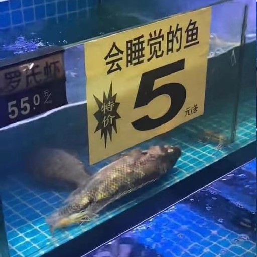 MYCK R017963B 93842382