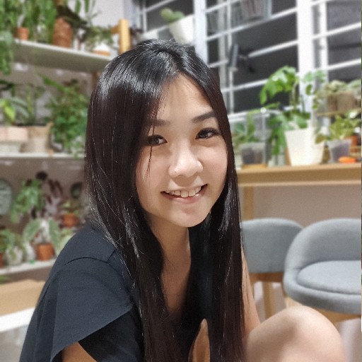 Peipei Petrina Luo R014594J 91808108