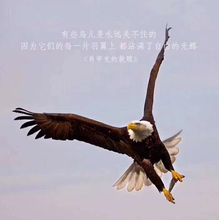 黛芬妮 Daphne Tay R009268E 98559638