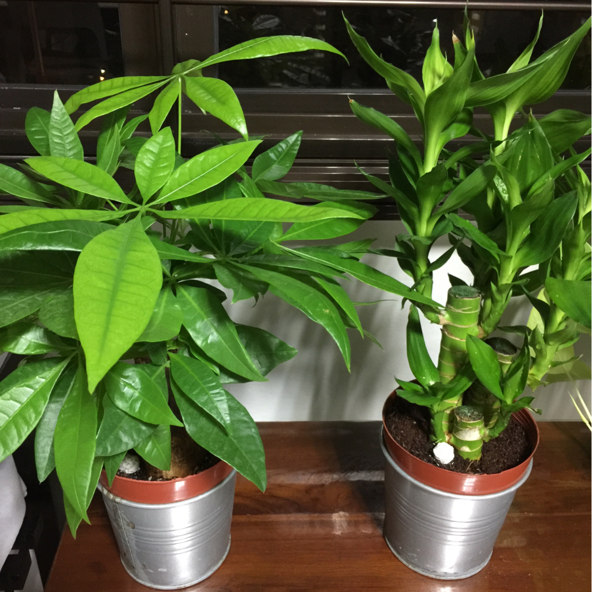 essw R032068H 91092455