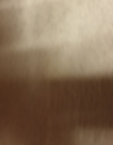 Horizon88 R051409A 12345678