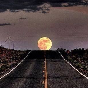 Kai R018181E 90018642