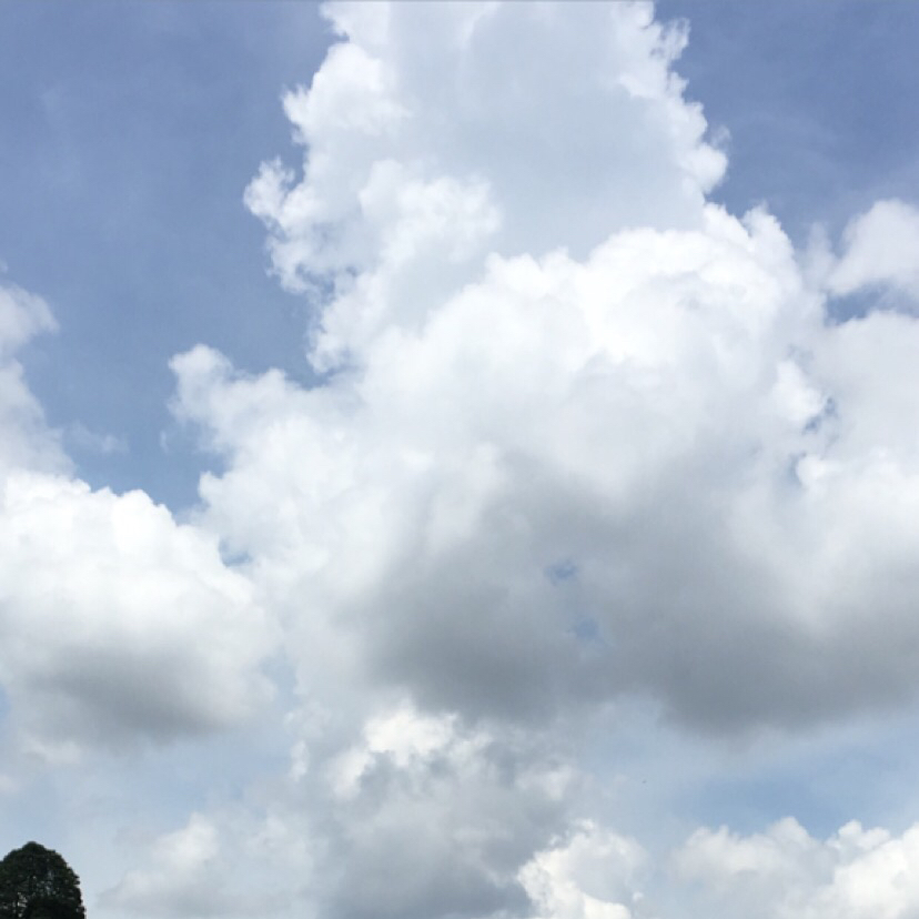 Jaslin L R049961J 98788879